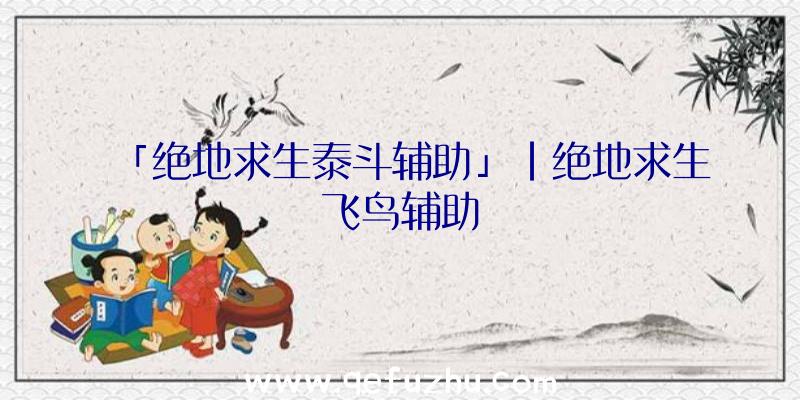 「绝地求生泰斗辅助」|绝地求生飞鸟辅助